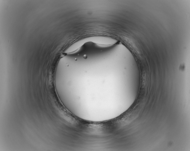 X0000089900457200707262254