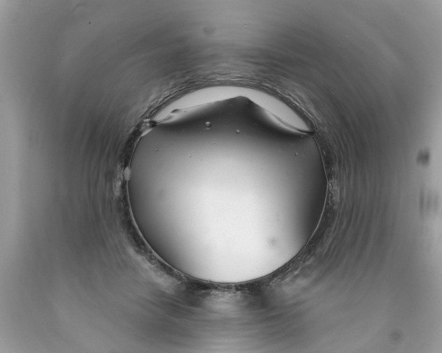 X0000089900458200707262254