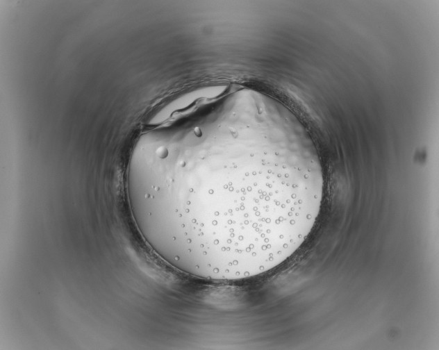 X0000089900459200707262254
