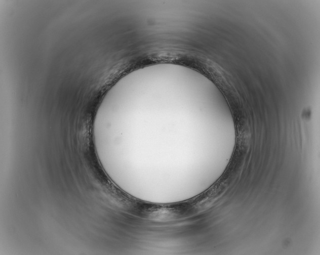 X0000089900460200707262254