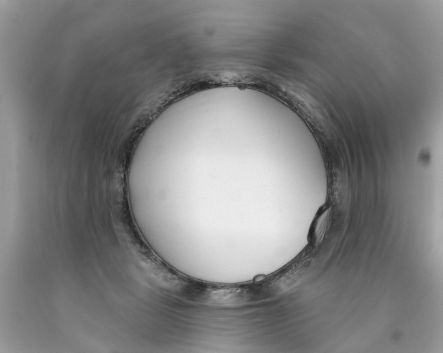 X0000089900461200707262254
