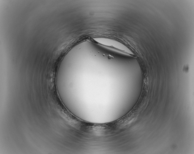 X0000089900462200707262254