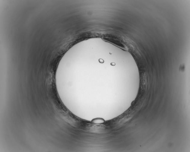 X0000089900463200707262254