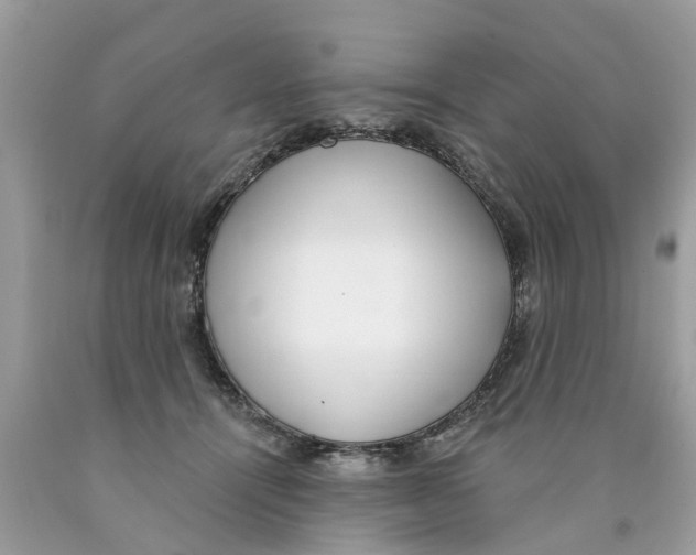 X0000089900464200707262254