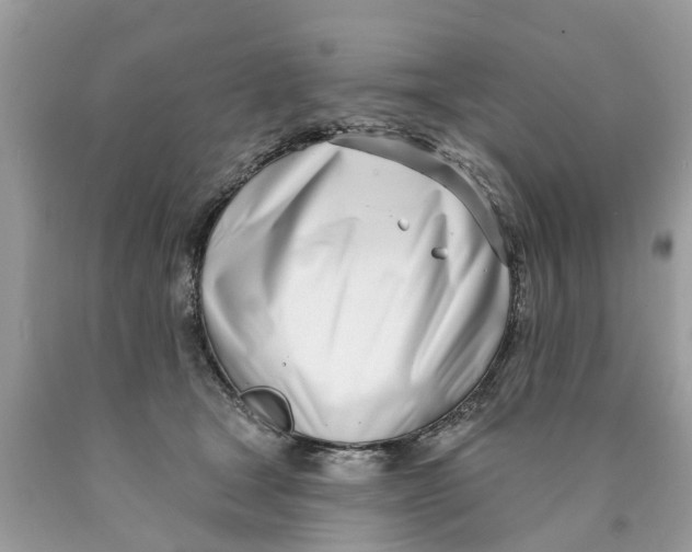 X0000089900465200707262254