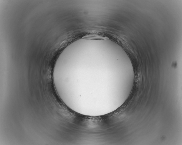 X0000089900466200707262254
