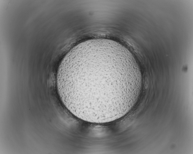 X0000089900467200707262254