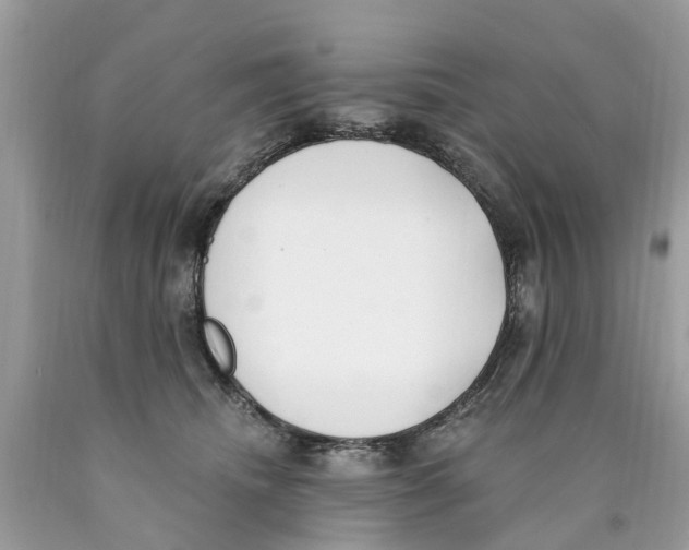 X0000089900468200707262254