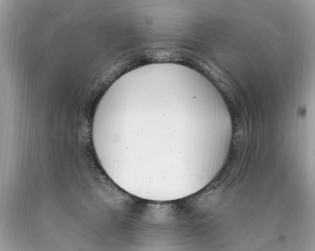 X0000089900469200707262254