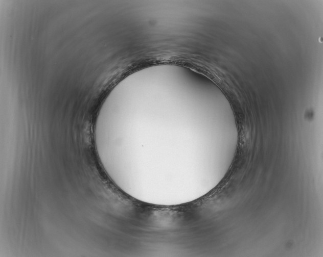 X0000089900470200707262254