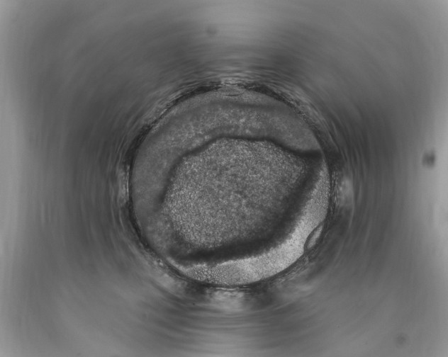 X0000089900471200707262255
