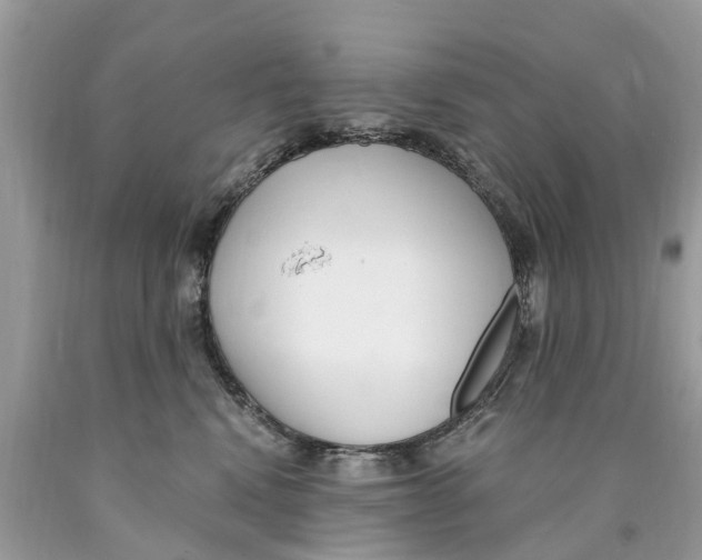 X0000089900472200707262255