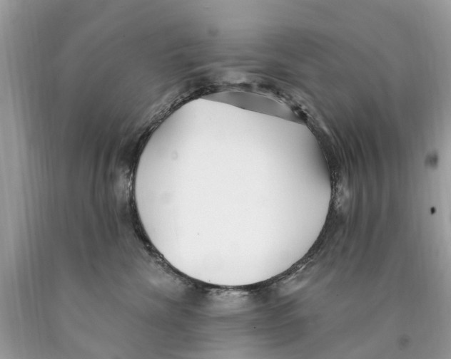 X0000089900476200707262255
