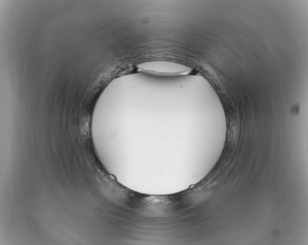 X0000089900477200707262255