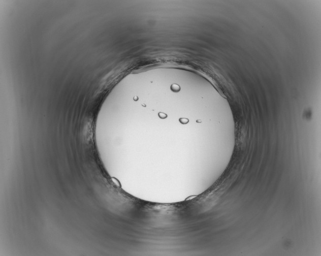 X0000089900478200707262255