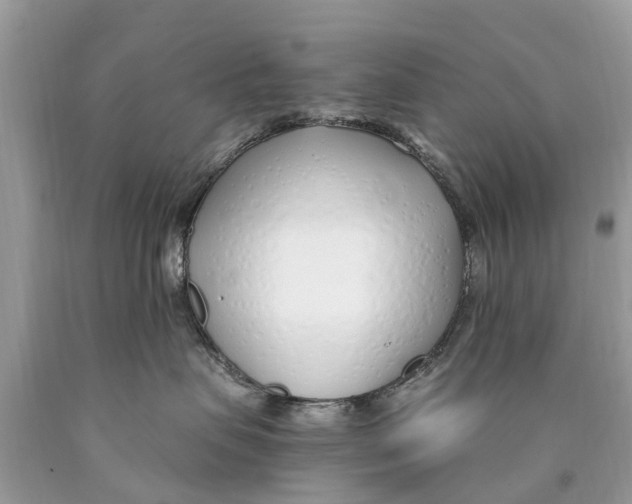 X0000089900479200707262255