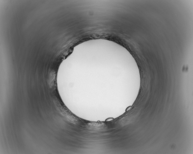 X0000089900480200707262255