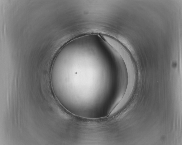 X0000089900481200707262254