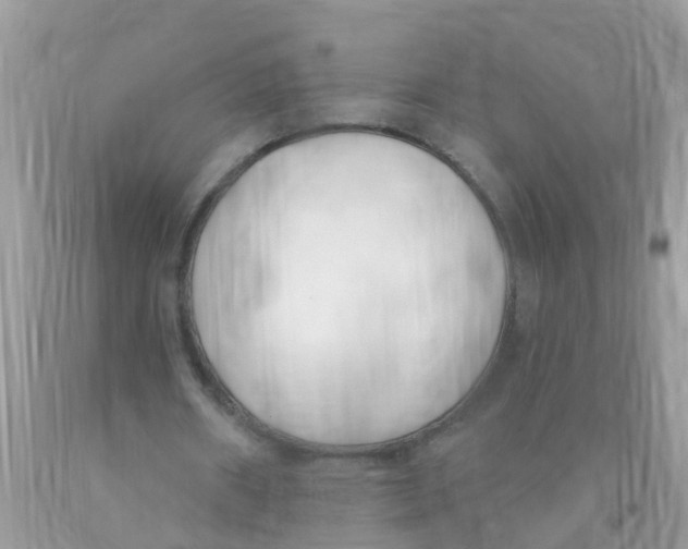 X0000089900482200707262254
