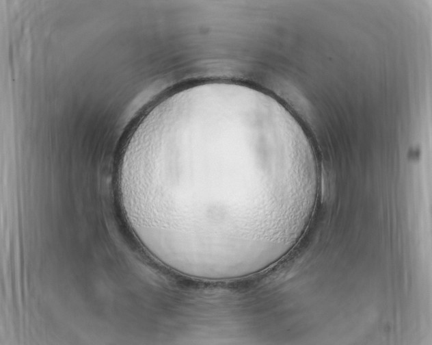 X0000089900483200707262254
