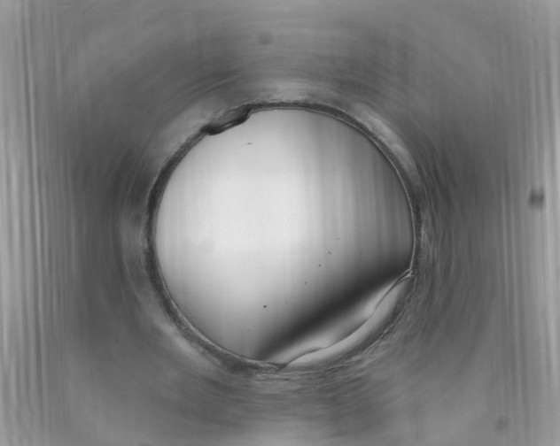 X0000089900485200707262254
