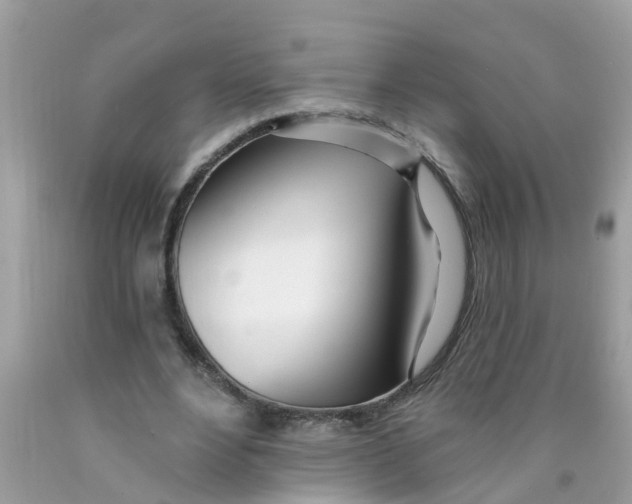 X0000089900488200707262254