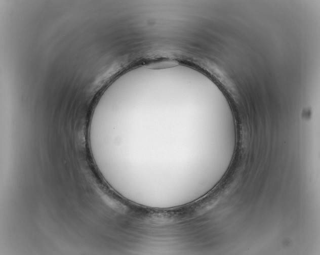 X0000089900489200707262254