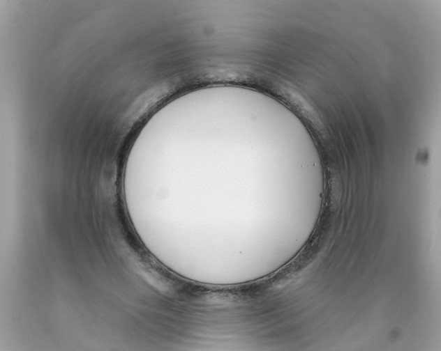 X0000089900490200707262254