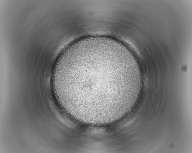 X0000089900491200707262254