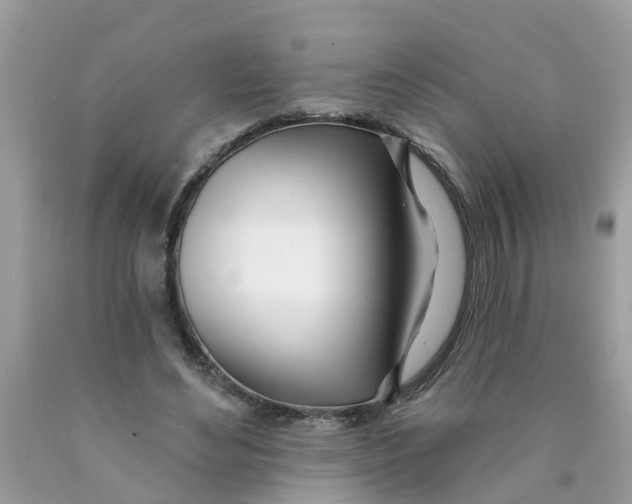X0000089900492200707262254
