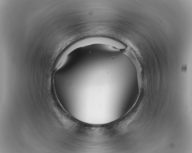 X0000089900493200707262254