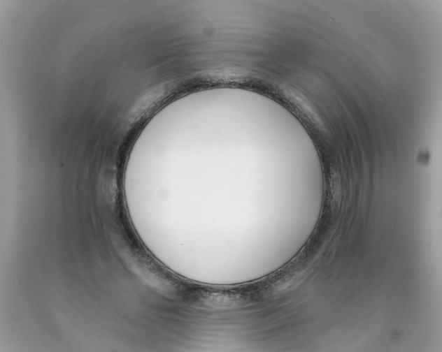 X0000089900494200707262254