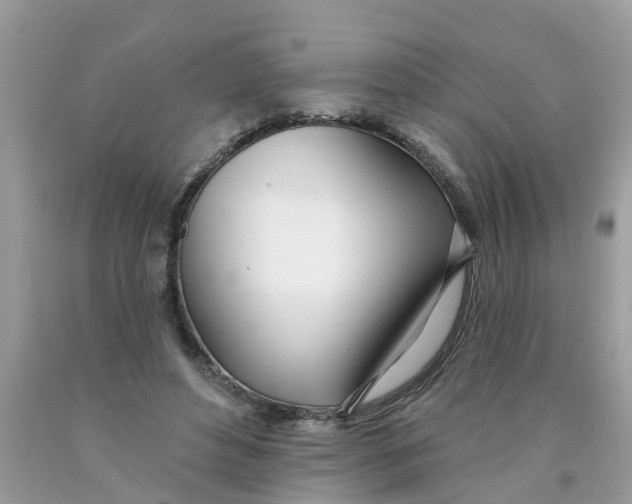 X0000089900496200707262254