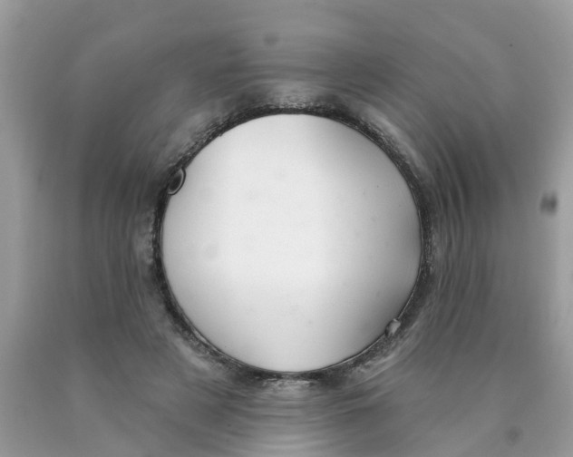 X0000089900497200707262254