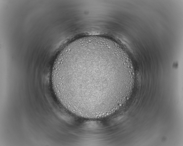 X0000089900499200707262254