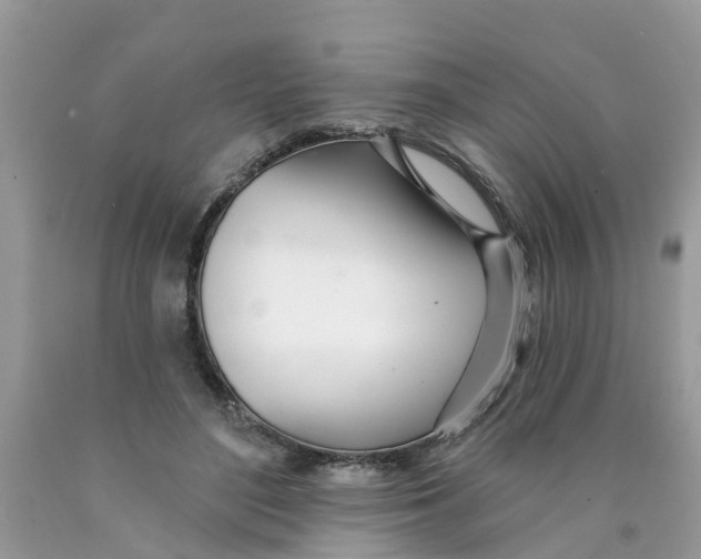 X0000089900500200707262254