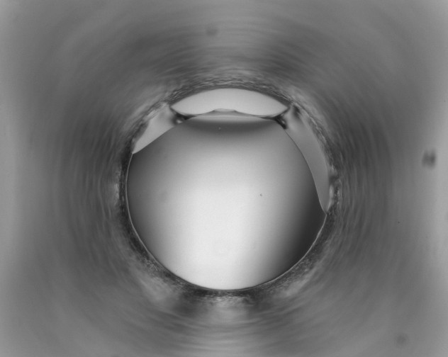 X0000089900501200707262254