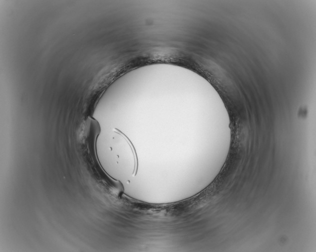 X0000089900502200707262254
