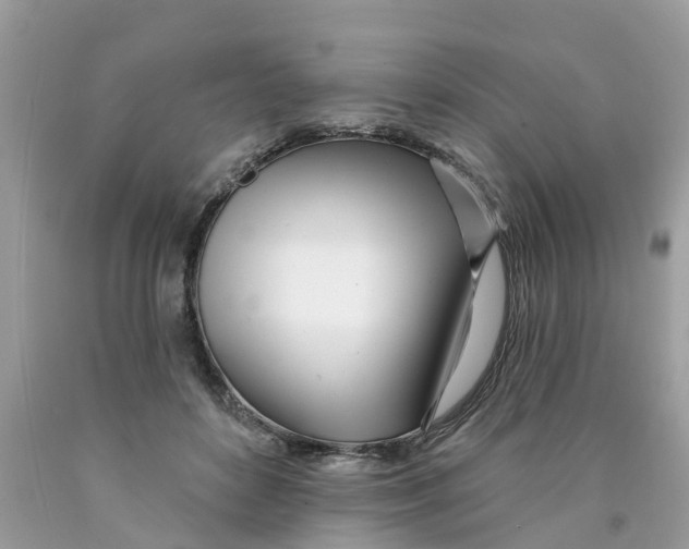X0000089900504200707262254