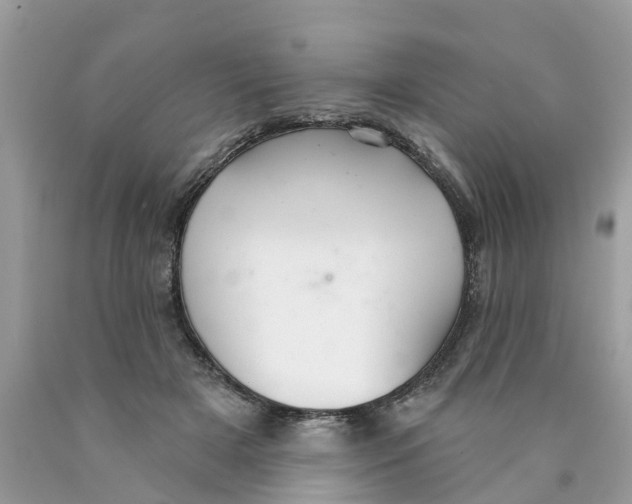 X0000089900505200707262254
