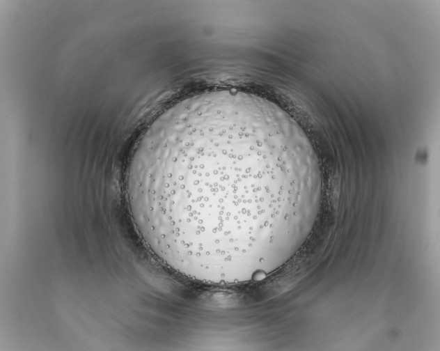 X0000089900506200707262254