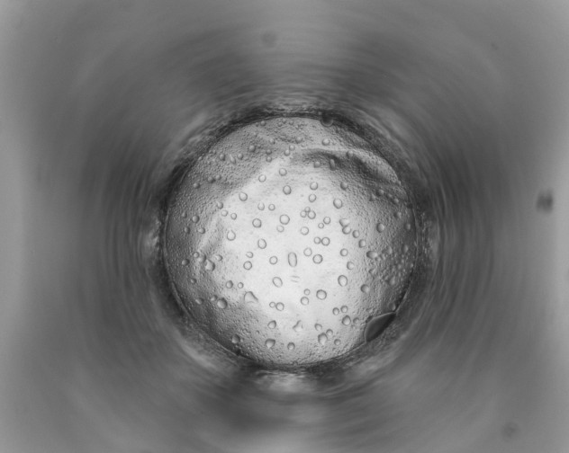 X0000089900507200707262254