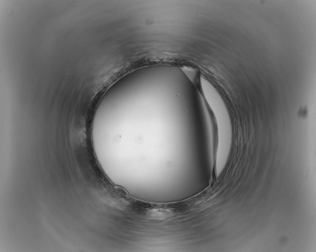 X0000089900508200707262254