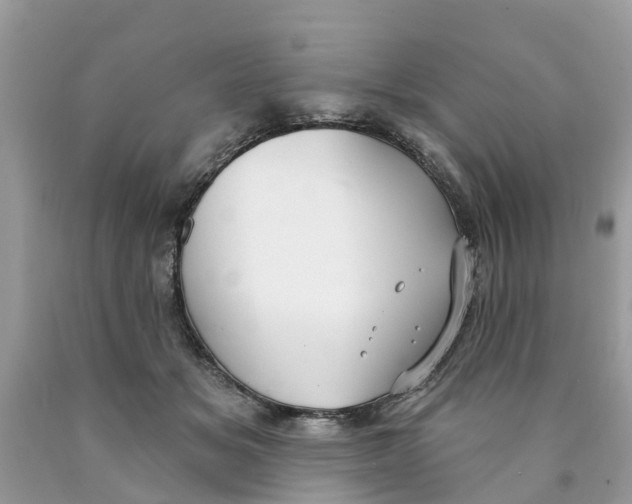 X0000089900509200707262254