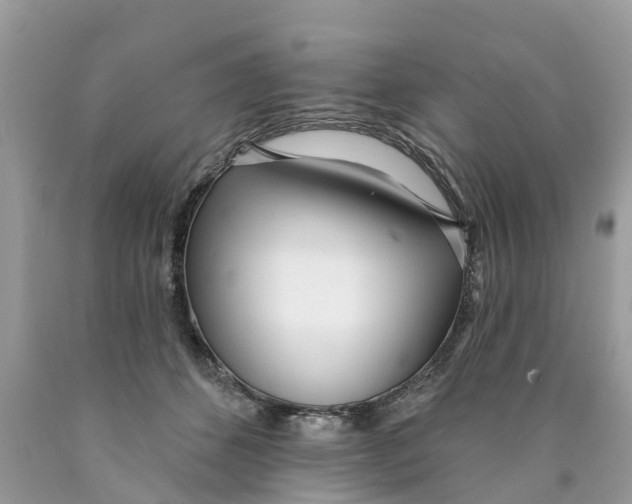 X0000089900512200707262254