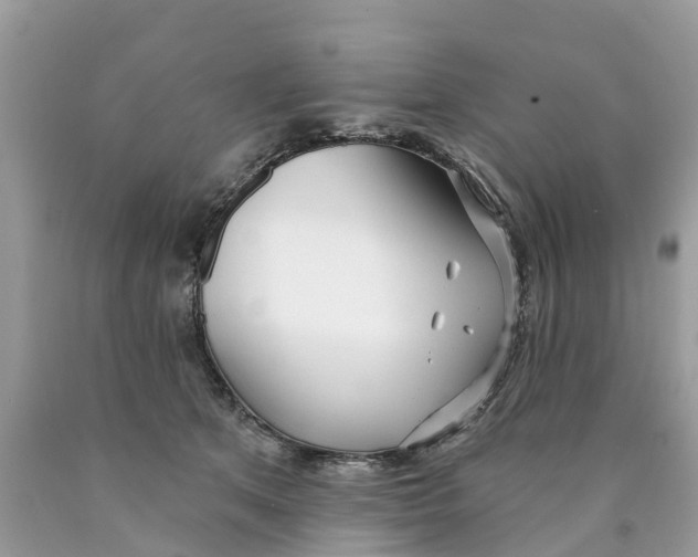 X0000089900513200707262254