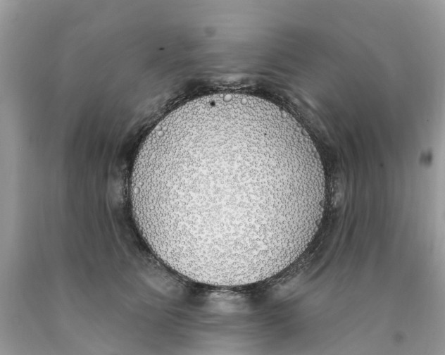 X0000089900515200707262254