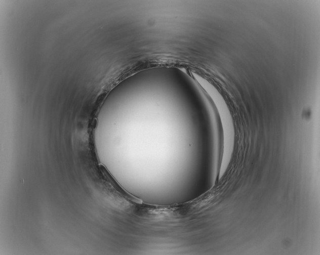 X0000089900516200707262254