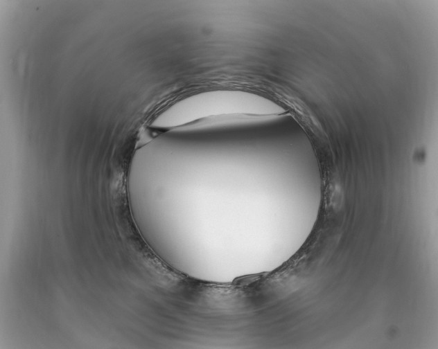 X0000089900521200707262254