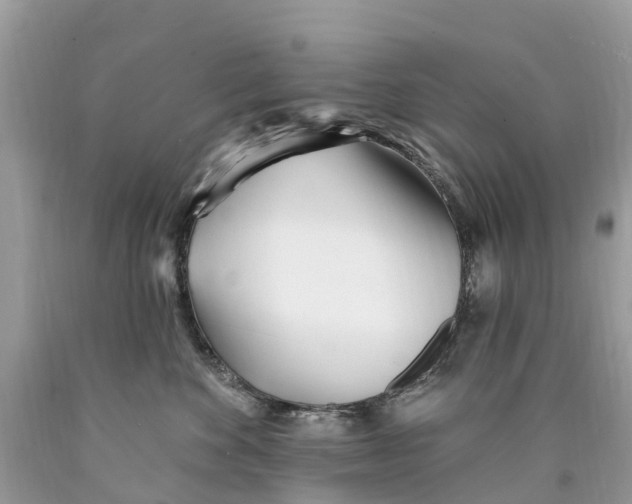 X0000089900524200707262253